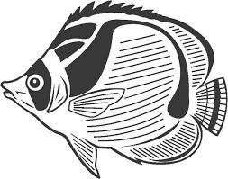 Fish Coloring Pages 28 Butterfly Coloring Page Fish Coloring Page Fish Drawings