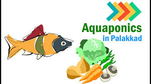 This means you can copy and paste it anywhere on the web or desktop applications. Aquaponics Meaning In Malayalam Aquaponic