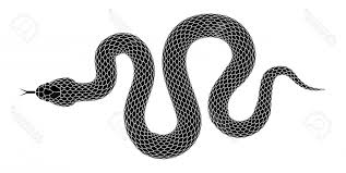 Photostock Vector Snake Silhouette Illustration Black Serpent Isolated On A White Background Vector Tatto Snake Tattoo Design Black Snake Tattoo Serpent Tattoo