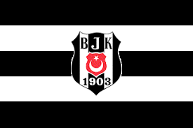Beşiktaş yönetimi, 38 yaşına gelen ve sezon sonu sözleşmesi biten atiba hutchinson'ın yerine augsburg. Besiktas District Municipality Turkey