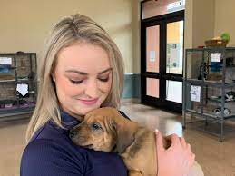Maybe you would like to learn more about one of these? Palm Springs Animal Shelter Psanimalshelter Twitter