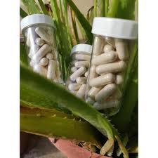 Dah terbayang antara buah pinggang/batu karang. Buy Original Kapsul Buah Kulim Batu Karang Buah Pinggang Kencing Manis Darah Tinggi Seetracker Malaysia