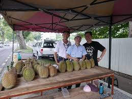 Anda patut menarik nafas lega kerana tak susah pun nak cari lokasi sebab terlalu banyak tempat makan sedap di pulau pinang. Best Durian In George Town Area In Penang Various Of Durian Like Musang King Red Prawn Etc Picture Of Penang Ah Teik Penang Island Tripadvisor