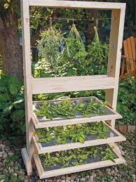 Clever Best 25 Herb Drying Racks Ideas On Herb Rack Herb Garden Pallet Herb Garden Design Growing Herbs