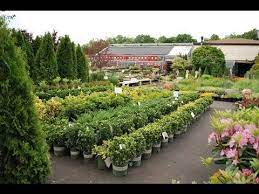 Plants and flowers nursery near me. Plant Nurseries Near Me