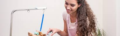 We pay special attention to older pets and pets with aussie pet mobile® requires your pet to have its current rabies vaccination for every pet being groomed. Pet Groomers Insurance Australia Pet Grooming Business Insurance