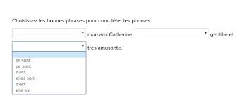 Help Now French Fill In The 3 Blanks Les Adjectifs Qui Precedent Le Nom Choisissez Les Bonnes Brainly Com