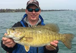 Hello folks, this week we show you how to quickly and easily fillet a smallmouth bass into boneless fillets. Smallmouth Bass Guide Lake St Clair Spencer S Angling Adventures