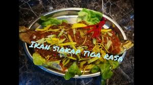 Ikan siakap juga dikenali sebagai ikan kakap putih. Ikan Siakap Tiga Rasa Youtube