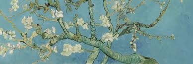 Van gogh's paintings of sunflowers are among his most famous. Blossoming Almond Tree Van Gogh Gallery