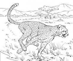 coloriage gu eacute pard qui court et dessin gratuit a imprimer dessine les coloriages animaux colorier mot poisson