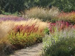 Add a tropical palm tree to your garden borders A Lanscaped Garden With A Beautiful Colourful Grassy Border Planted Stock Photo Picture And Royalty Free Image Image 95992880