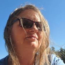 Beautiful display of daylilies in bloom