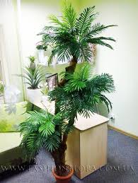 We did not find results for: Finikovoe Derevo V Ukraine Ceny Na Finikovoe Derevo Na Prom Ua