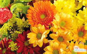 Maybe you would like to learn more about one of these? Free Download Fall Flowers Backgrounds Autumn Wallpaper 1280x800 For Your Desktop Mobile Tablet Explore 38 Autumn Flowers Desktop Wallpaper Autumn Flowers Desktop Wallpaper Autumn Background Autumn Wallpaper