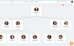 Super Cool Org Chart Software Pingboard Organizational