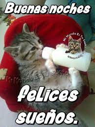 Pin En Buenas Noches