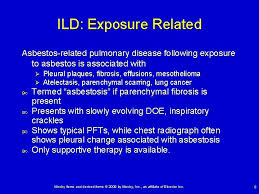 Benign pleural plaques may be seen in profile or en face. Interstitial Lung Disease Organization Of Interstitial Lung Disease
