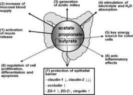 Additionally, whole grains are great sources of iron and magnesium. Butyrate Why Dietary Fibre Is So Important Whole Food Plant Based Diet