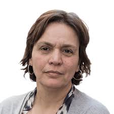 Juiz de direito juízo local de competência genérica de odemira autor de livros de direito processual penal. A Coberto Da Mascara Veio O Acaime Observador