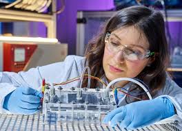 Women in Research #LINO24: Stefanie Arnold