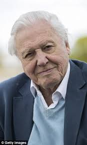 Scientists find 15 new species of 'smiley-faced' spiders