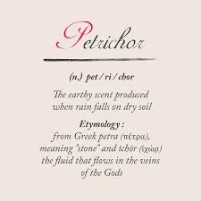 Petrichor Dictionary Definition Word Meaning Illustration Etymology Art Print By Stefanoreves X Small In 2020 Aesthetic Words Words Words Meaning Beautiful