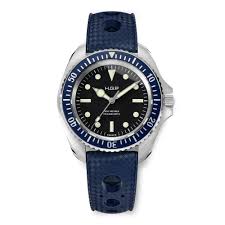 Image result for diving watch