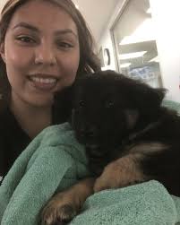 This is Darla 💜 Darla came into my care after she was being fostered  through the Riverside shelter and an incident happened where her mother had  attacked her. Darla was just a