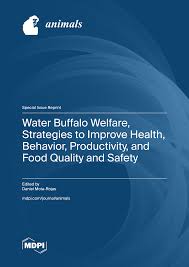 Water Buffalo Welfare, Strategies to Improve Health, Behavior,  Productivity, and Food Quality and Safety
