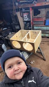 Should I build the enclosure as shown in the picture or put the sub in the  top?