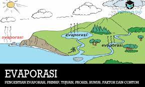 Istilah evaporasi biasanya dikenal dalam industri pangan. Pengertian Evaporasi Prinsip Tujuan Proses Faktor Contoh