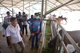 Produksi peternakan produksi hasil peternakan terdiri dari produksi daging, telur, dan susu. Plt Gubernur Aceh Tinjau Peternakan Sapi Milik Kementerian Pertanian Di Indrapuri
