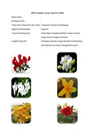 Proses belajar bisa dilakukan secara terpisah, mandiri dalam proses belajar menggunakan lapbook, anak akan belajar aneka jenis tema terkait pengembangan logika dan matematika dasar, antara lain. Mengelompokkan Warna Bunga Exercise