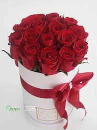 Pin On Flower In Box