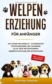 Sobald das tier teil ihres eine welpenerziehung ohne hundeschule ist dabei durchaus möglich. Welpenerziehung Fur Anfanger Das Grosse Welpenbuch Hundewelpen Richtig Erziehen Und Trainieren Alles Uber Welpentraining Hundepsychologie Und Entwicklung Inkl Lustige Hundespiele Lehmann Jonathan Amazon De Bucher