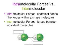 Besides a hypothetic intramolecular rearrangement also. Intramolecular Forces Vs Intermolecular Ppt Download