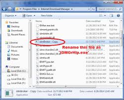 Internet download manager free serial number for registration overview: How To Fix Idm Fake Serial Number Error Techpanga