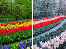 How to be color blind. How People Who Are Color Blind See The World