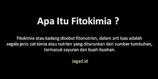 Pengertian Fitokimia Macam Jenis Senyawa Dan Contohnya Jagad Id