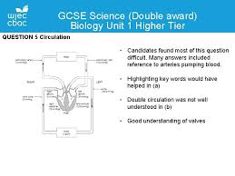 Higher risk of arteries and capillaries bursting. Feedback On Gcse Science Double Award Biology 2019