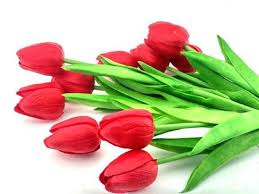 Burada lale gül ile konuşabilirsin. Toptan Gelin Buketi Cicegi Yapay Islak Lale 10 Adet Toptans Net