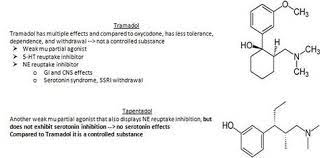 Tumblr Pharmacy Student Student Diary Serotonin Syndrome