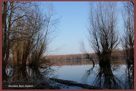 De veti intreba 100 de pescari ce monturi folosesc la pescuitul pe dunare veti obtine cu siguranta 100 de raspunsuri diferite, dar care se rezuma in final la cele prezentate. Gone Fishin Rasova Printre Cioburi De Speranta