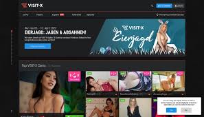 Visit-X: What is it? - Review 2025