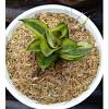 Cincin batu akik puser bumi sumur bandung mumbul asli alami. Https Encrypted Tbn0 Gstatic Com Images Q Tbn And9gcsjvlrqhb Qczh2m2angrj86rflfh8lrjqir07f8k2e7w6oj4ea Usqp Cau