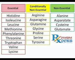 Pin On Healthy Me