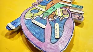 How To Make A Human Heart Model At Home Human Heart Heart Science Activities Human Body Model