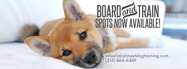 Gcc is a program developed by the. Fido S Finest Dog Training Fido S Finest Dog Training Plano Dallas Tx