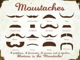 Trucker Mustache Top 10 Funny Mustache Names Commonly Used